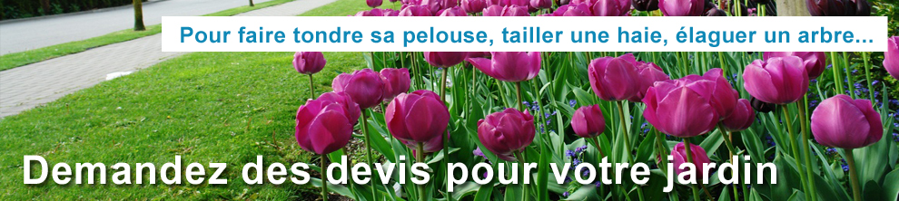 Am�nagement Cloture Paysagiste Devis Entretien Jardin